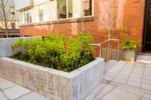 JH Landscaping and Irrigation