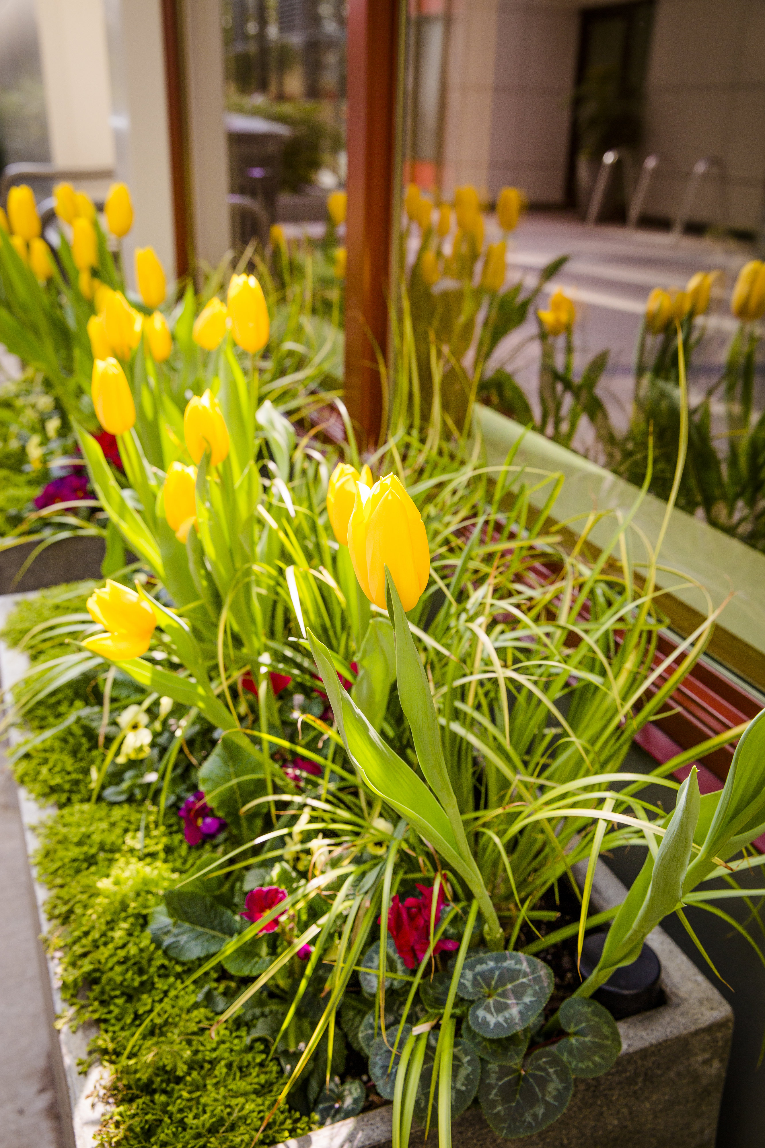 JH Landscaping and Irrigation