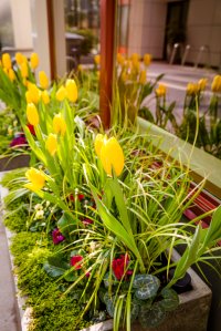 JH Landscaping and Irrigation