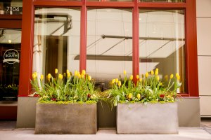 JH Landscaping and Irrigation