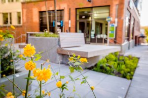 JH Landscaping and Irrigation