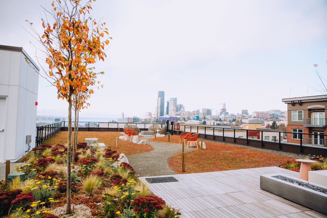 View More: http://jeffandamanda.pass.us/jhland