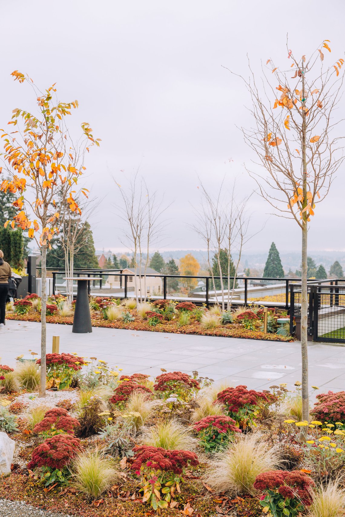 View More: http://jeffandamanda.pass.us/jhland