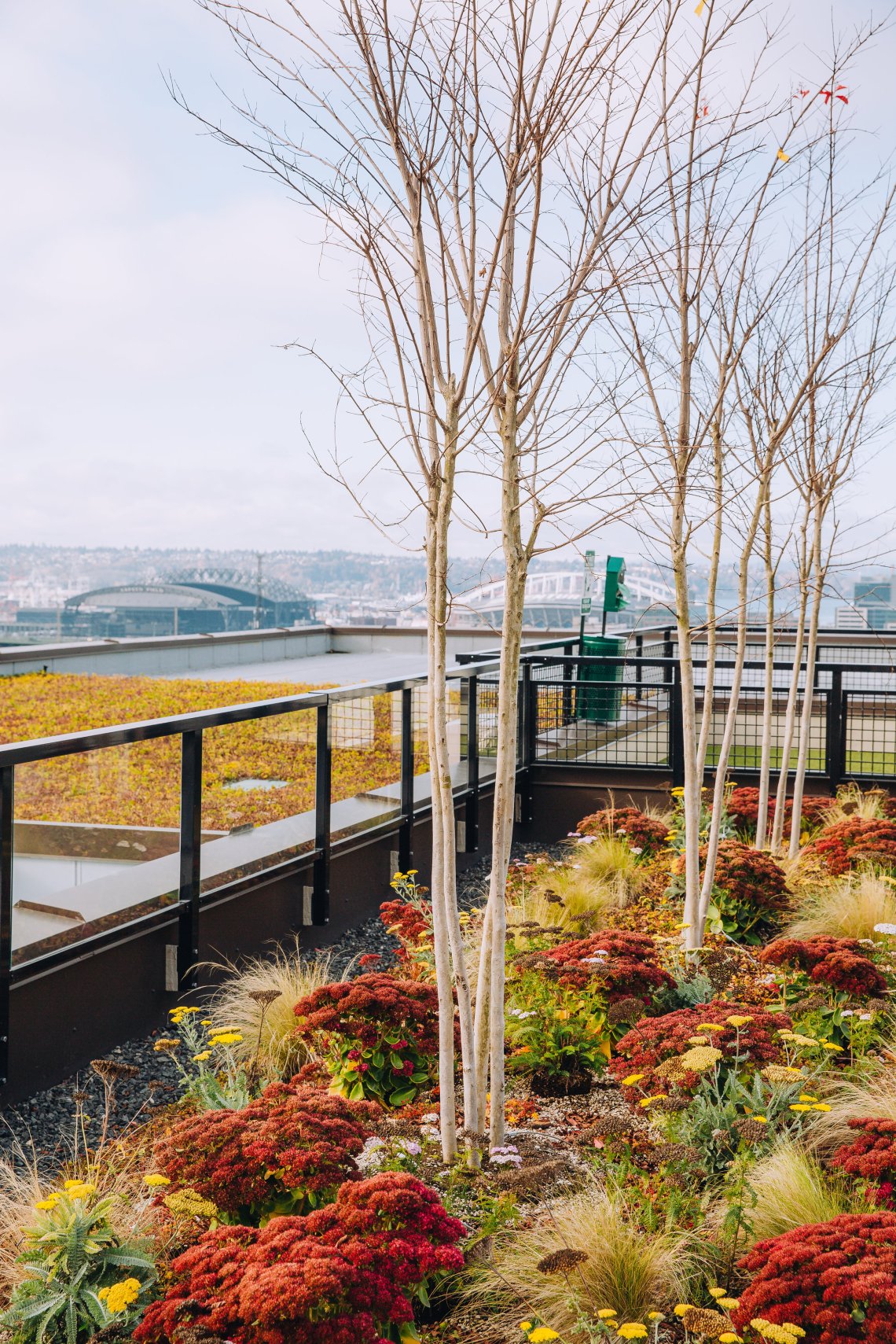 View More: http://jeffandamanda.pass.us/jhland