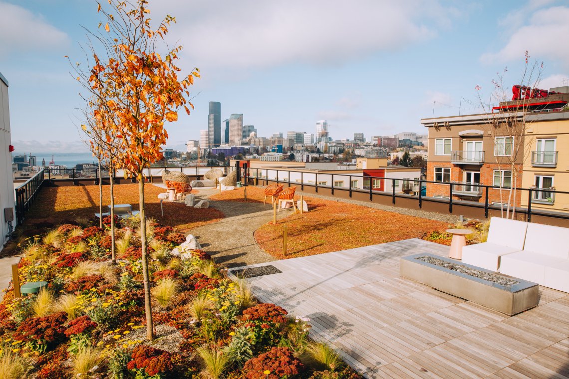 View More: http://jeffandamanda.pass.us/jhland