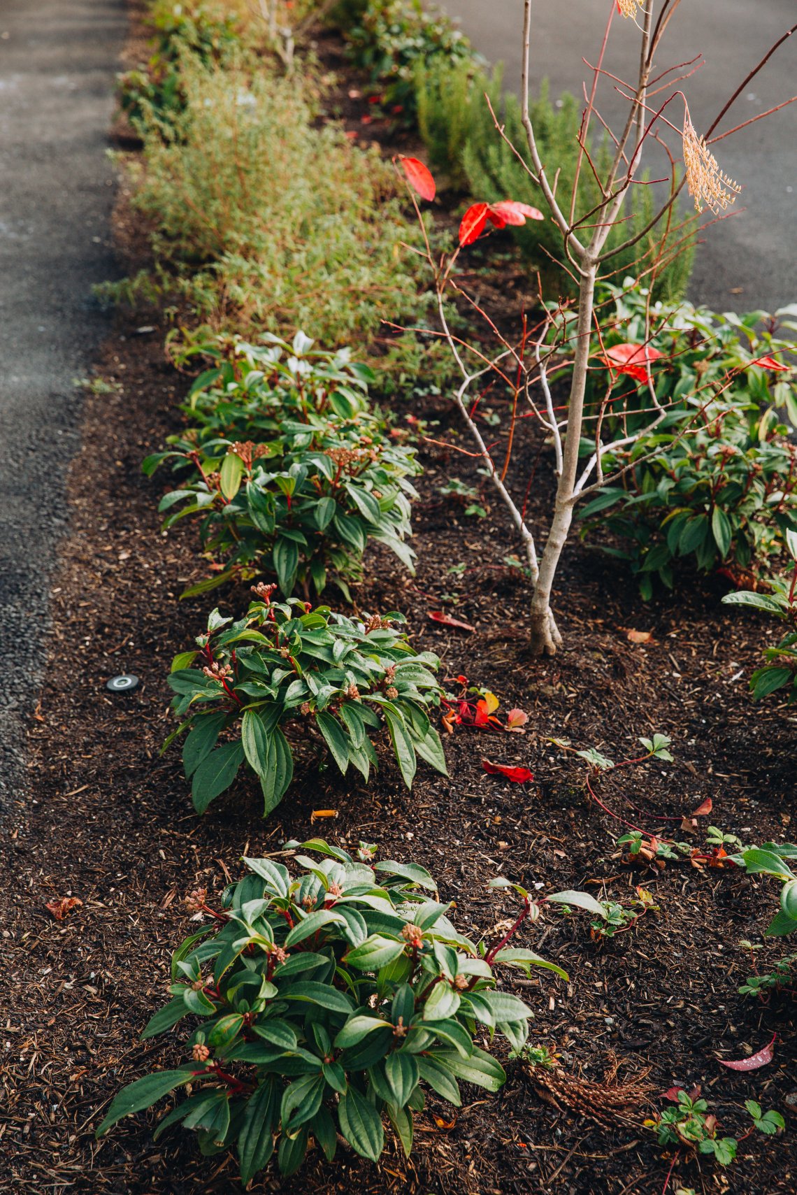 View More: http://jeffandamanda.pass.us/jhland