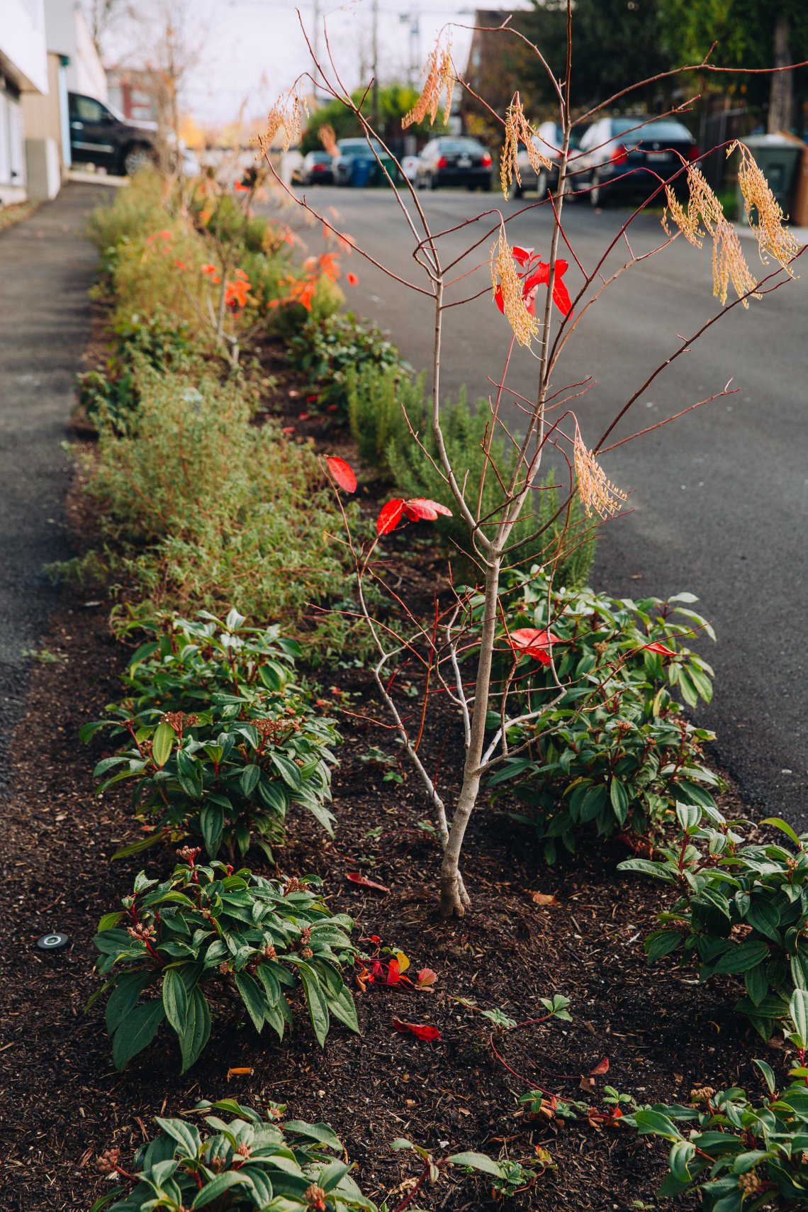 View More: http://jeffandamanda.pass.us/jhland