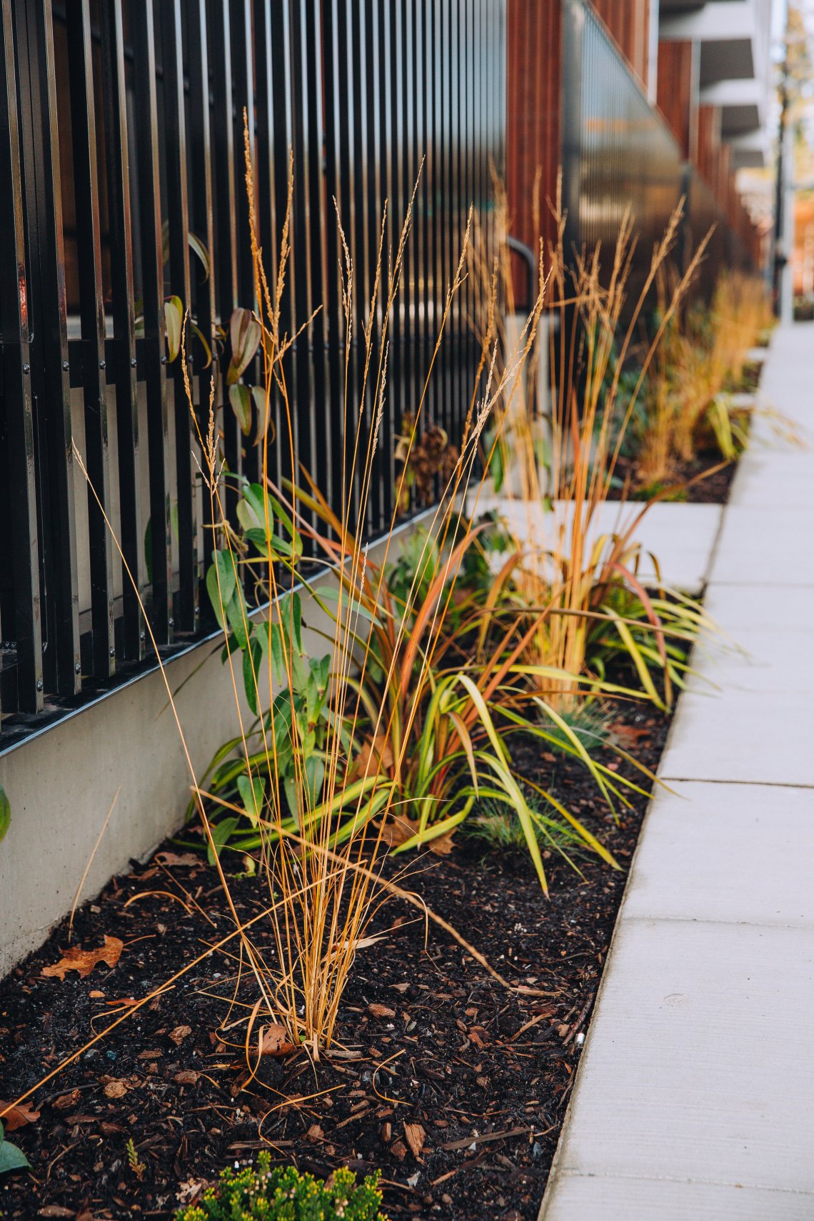 View More: http://jeffandamanda.pass.us/jhland