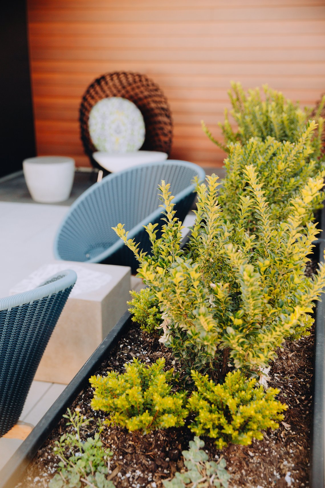 View More: http://jeffandamanda.pass.us/seattle