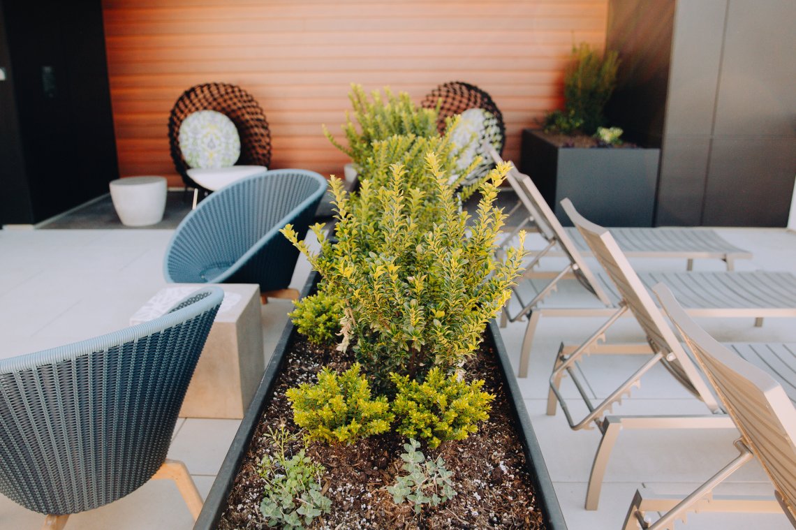 View More: http://jeffandamanda.pass.us/seattle