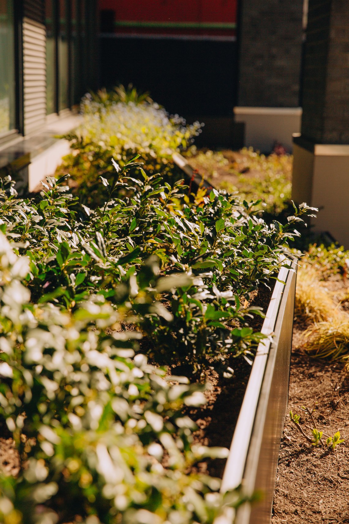 View More: http://jeffandamanda.pass.us/seattle