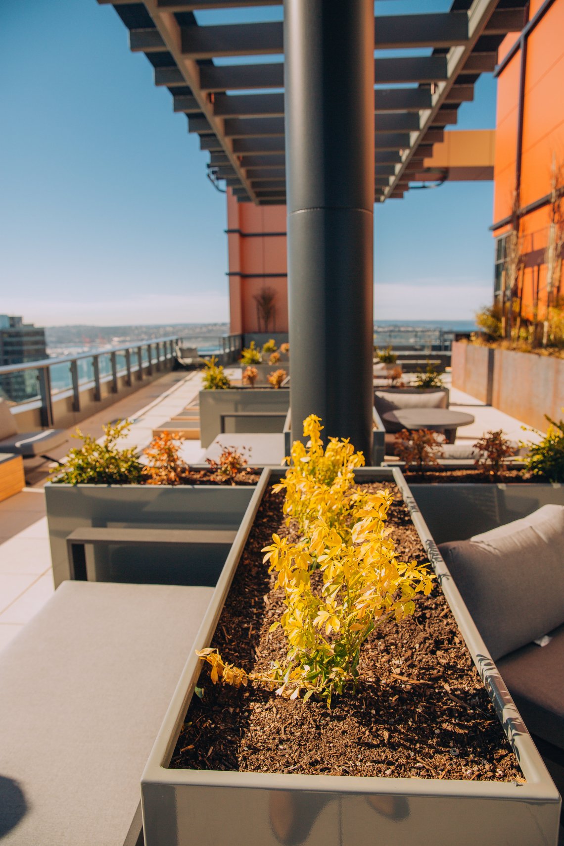 Arrive Tower Downtown Seattle, 2019 JH Landscaping & Irrigation, LLC