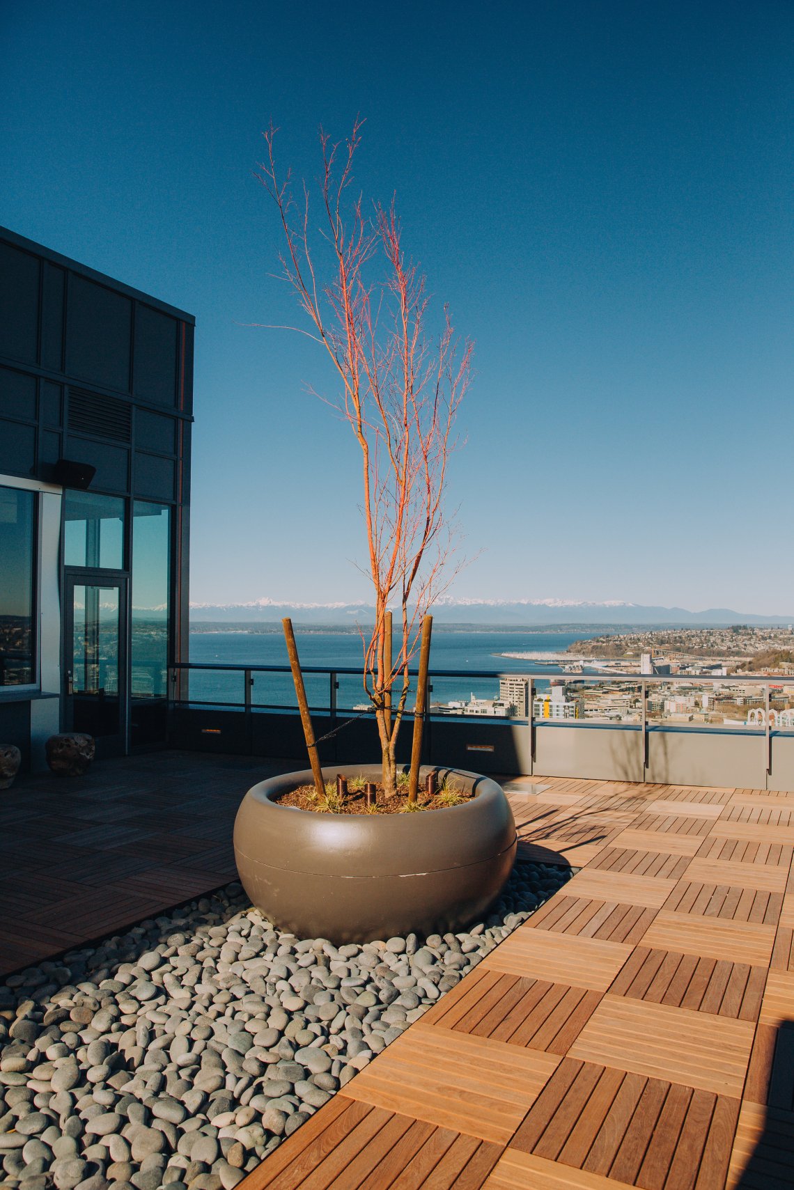 Arrive Tower Downtown Seattle, 2019 JH Landscaping & Irrigation, LLC