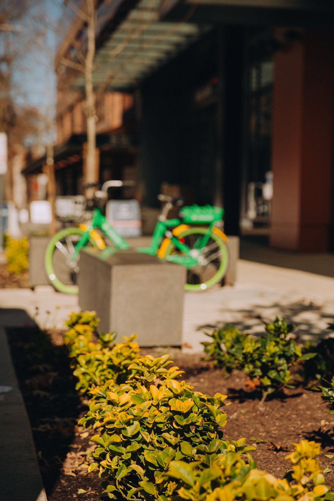 View More: http://jeffandamanda.pass.us/seattle