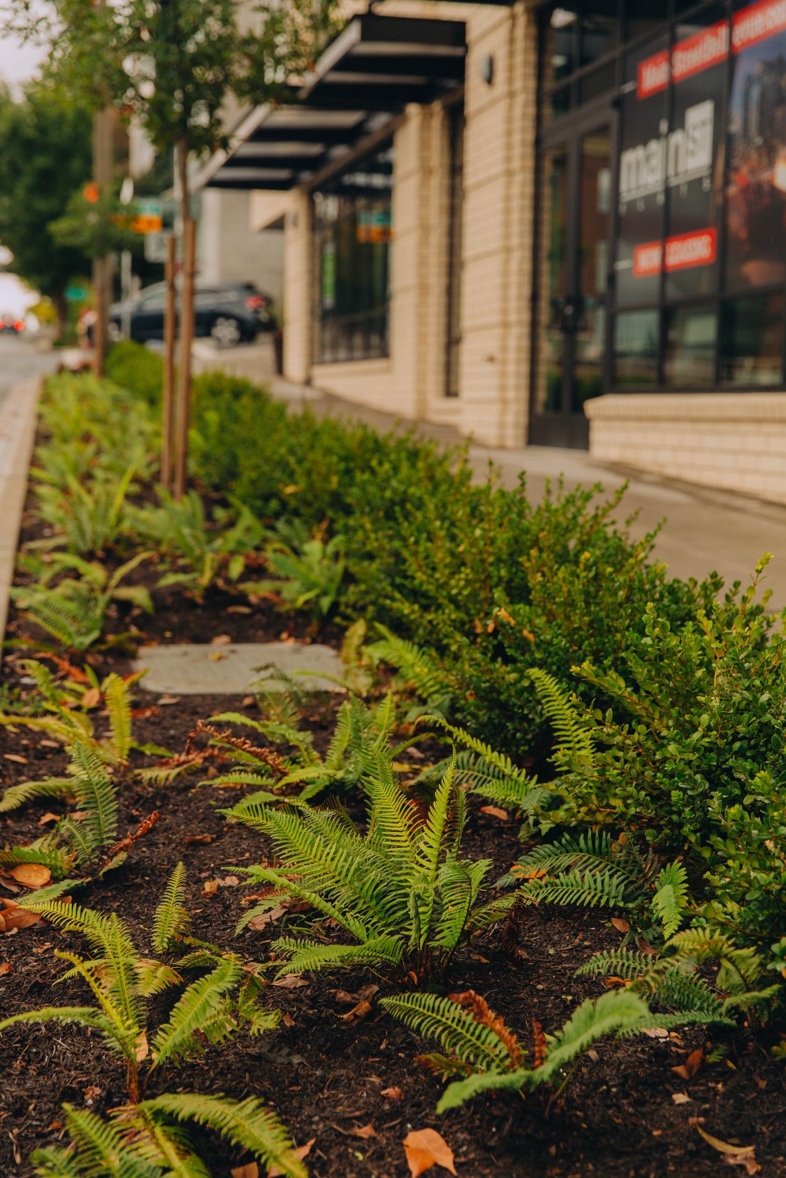 View More: https://jeffandamanda.pass.us/jhprojects