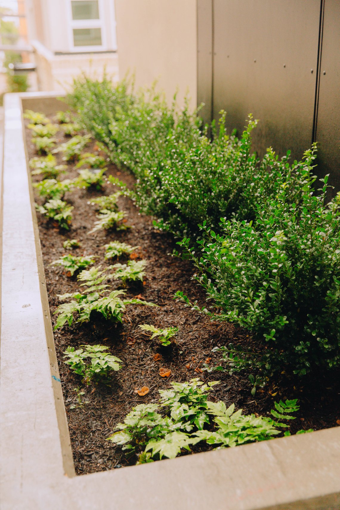 View More: https://jeffandamanda.pass.us/jhprojects