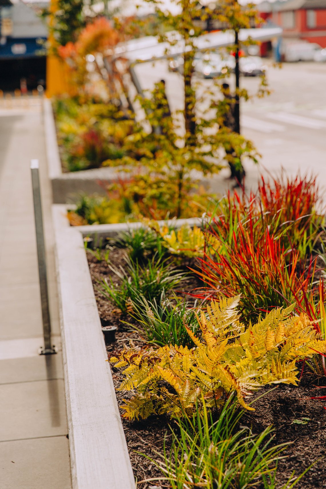 View More: https://jeffandamanda.pass.us/jhprojects