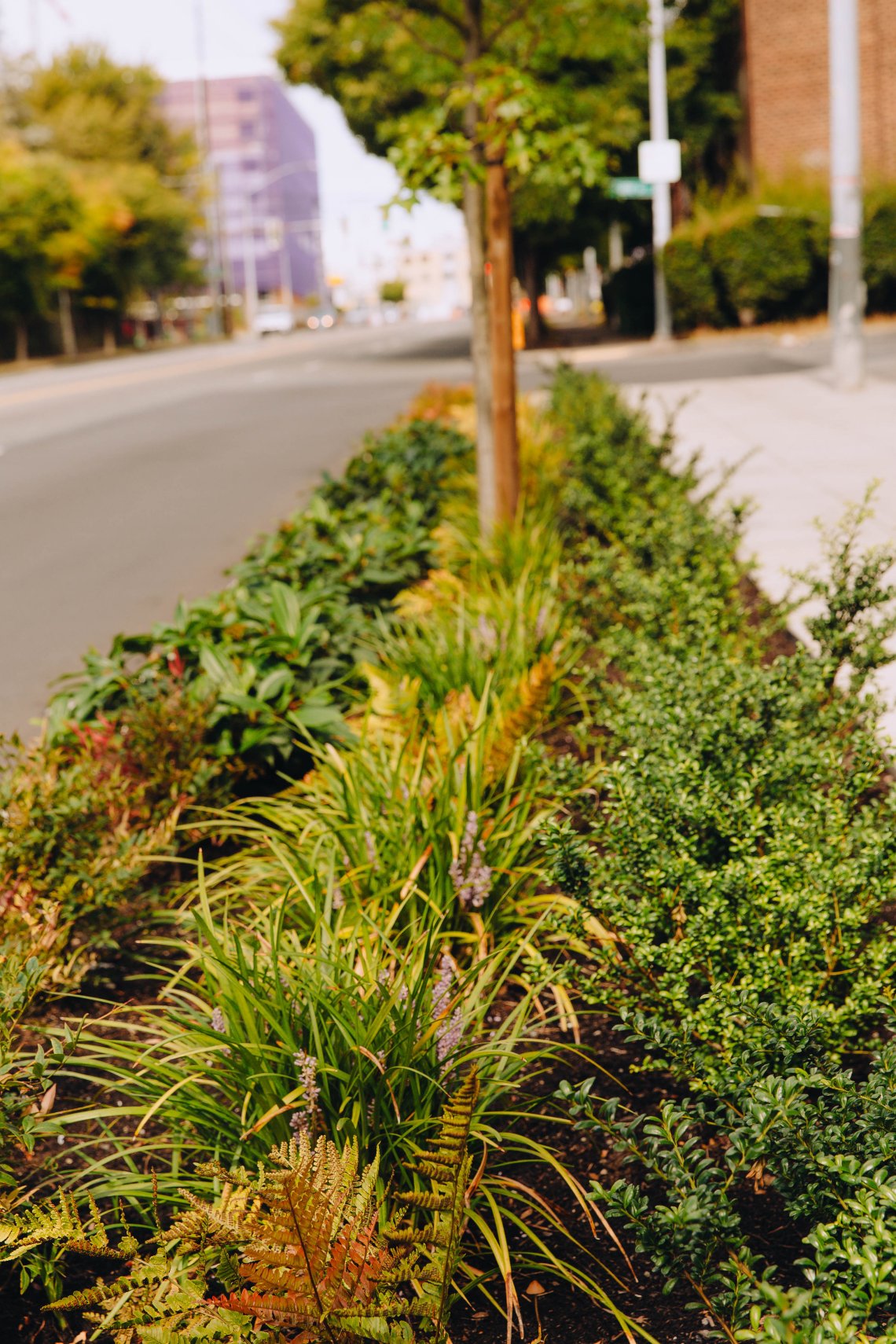 View More: https://jeffandamanda.pass.us/jhprojects