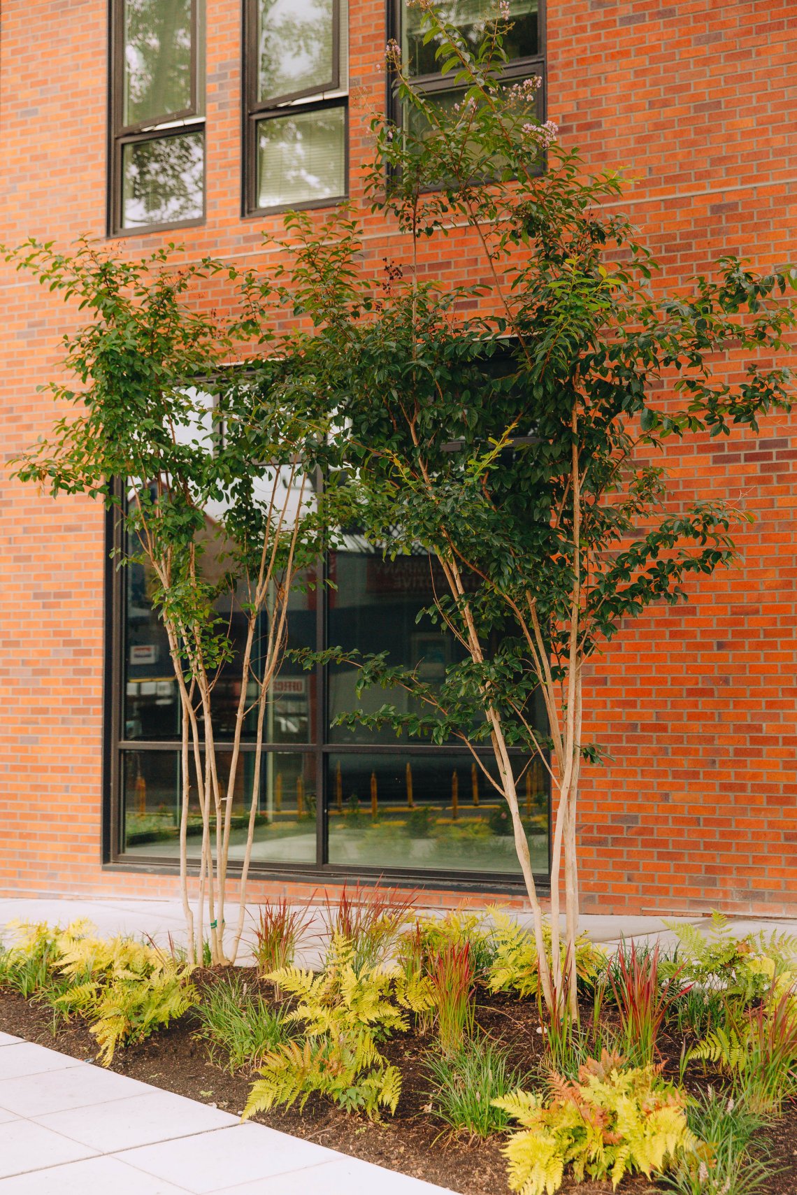 View More: https://jeffandamanda.pass.us/jhprojects