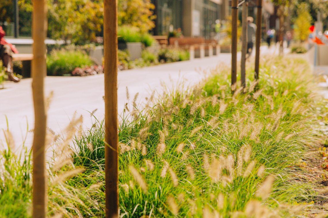 View More: https://jeffandamanda.pass.us/jhprojects