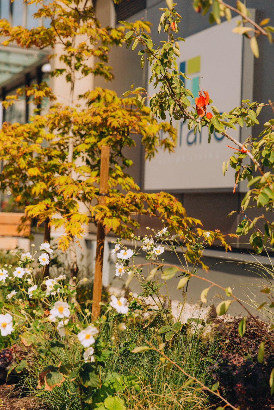 View More: https://jeffandamanda.pass.us/jhprojects