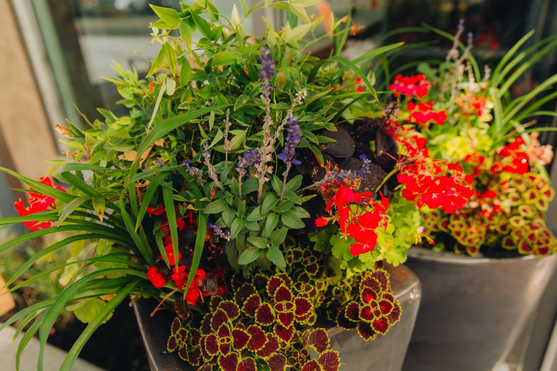 View More: https://jeffandamanda.pass.us/jhprojects