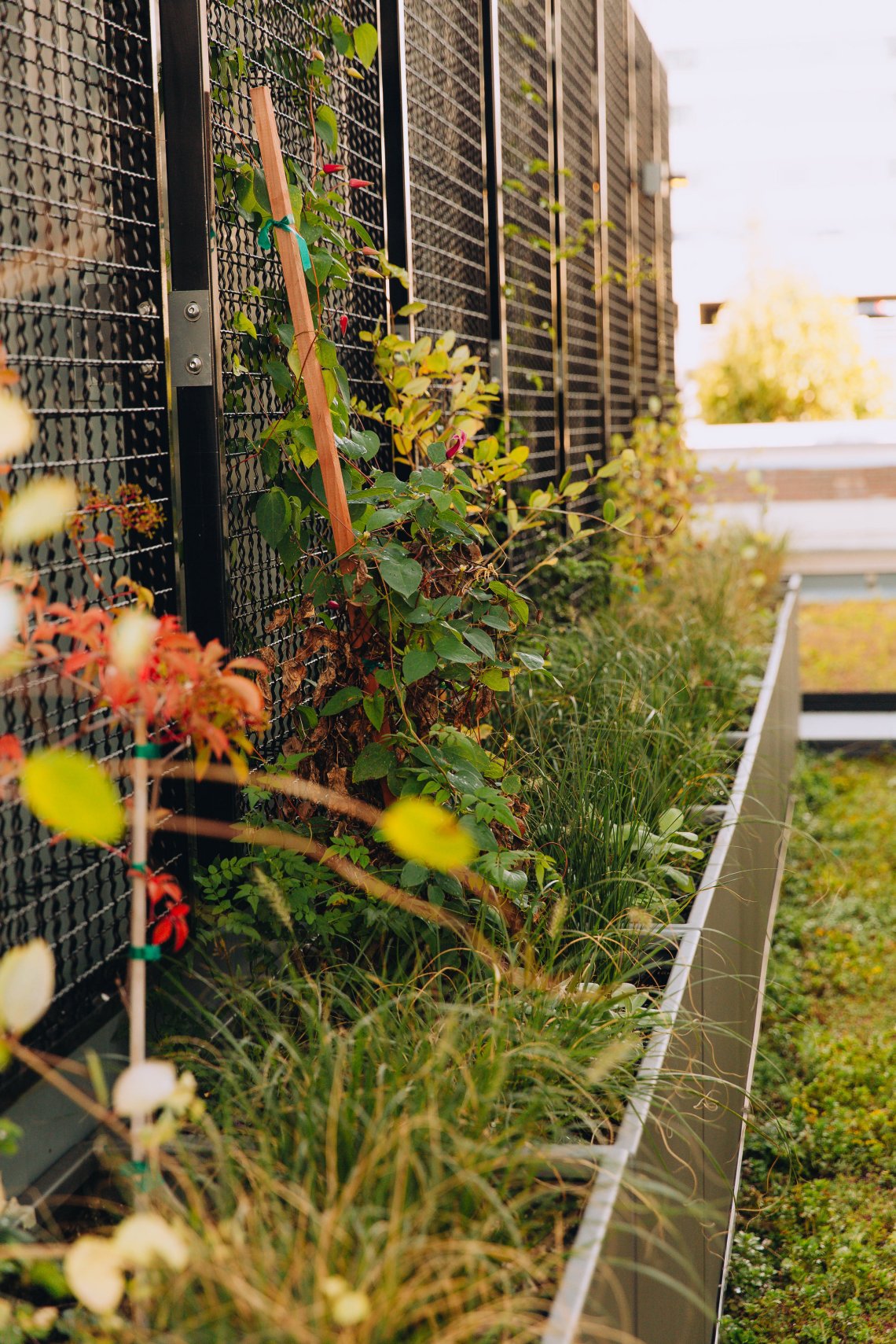 View More: https://jeffandamanda.pass.us/jhprojects