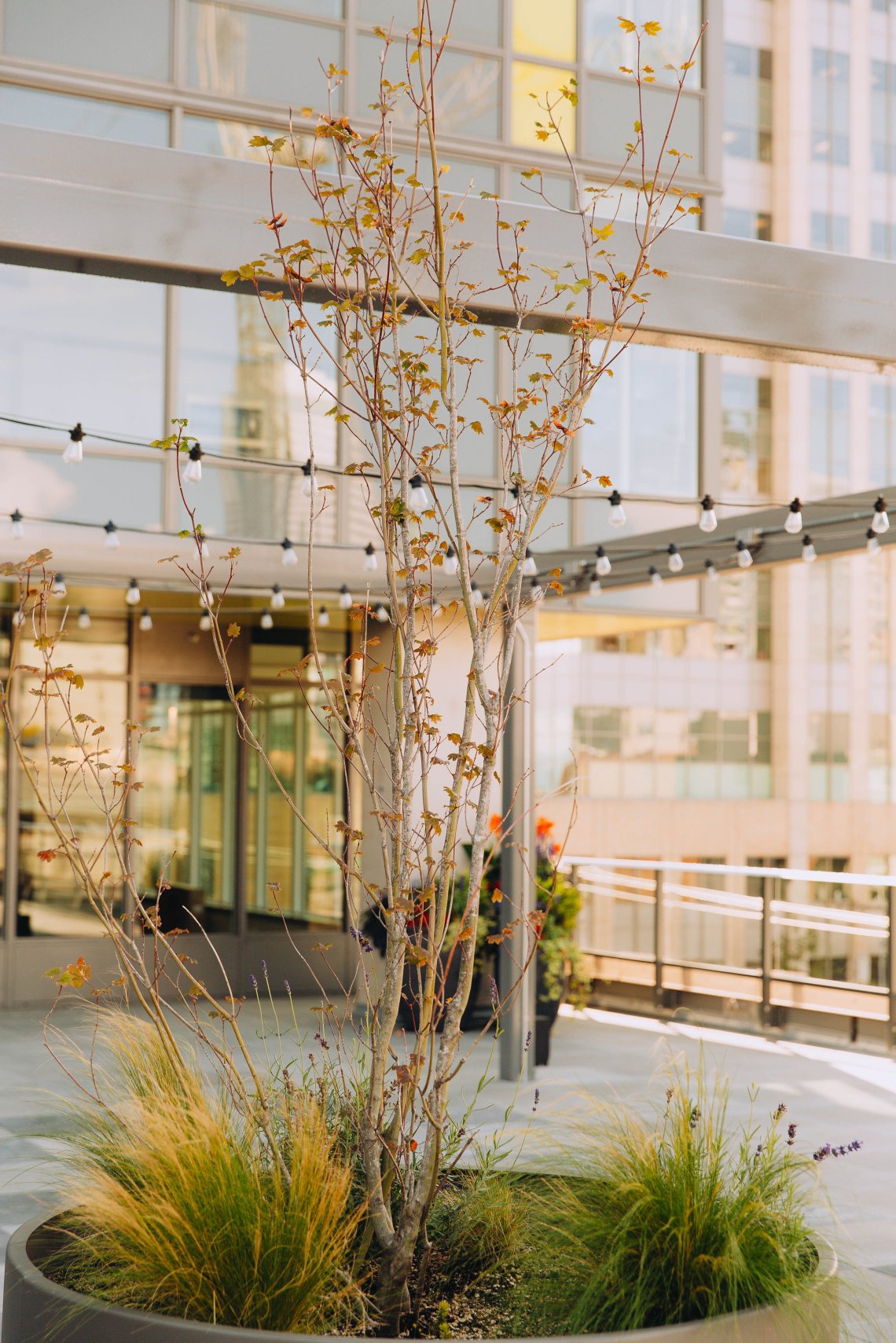 View More: https://jeffandamanda.pass.us/jhprojects