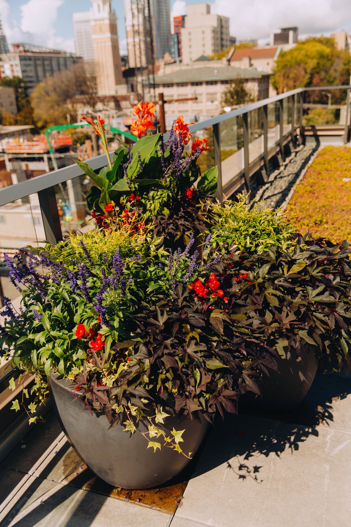 View More: https://jeffandamanda.pass.us/jhprojects