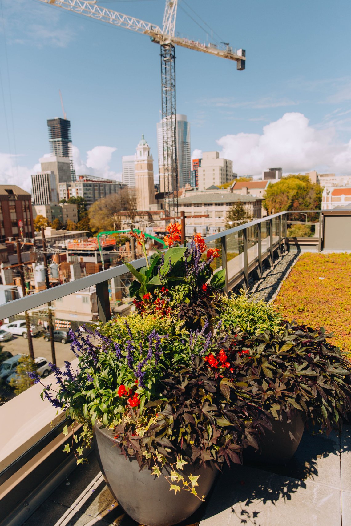 View More: https://jeffandamanda.pass.us/jhprojects