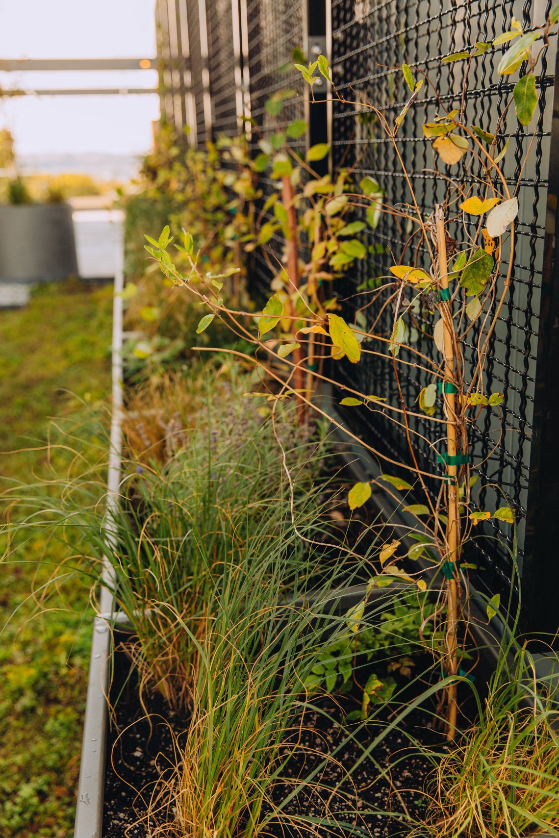 View More: https://jeffandamanda.pass.us/jhprojects