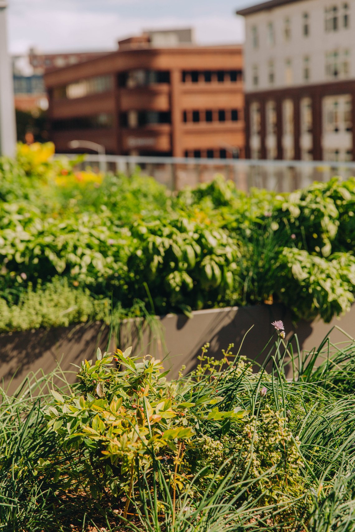 View More: https://jeffandamanda.pass.us/jhprojects