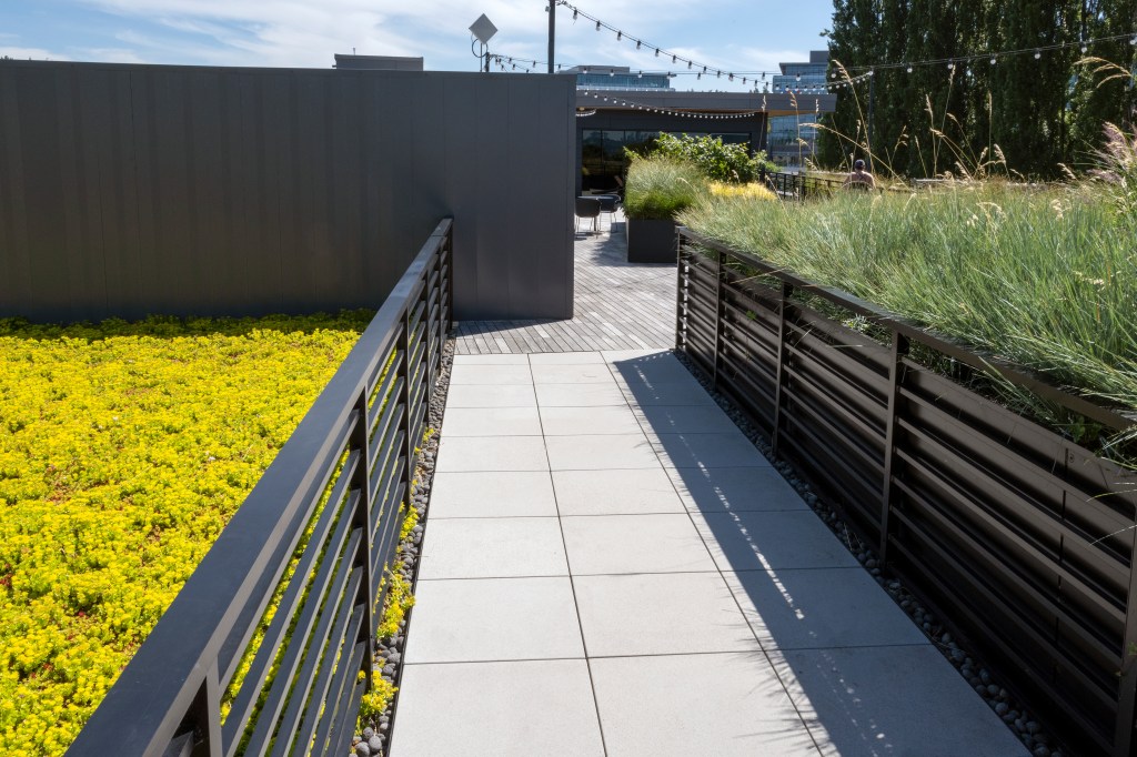 312 Central Kirkland, 2021 JH Landscaping & Irrigation, LLC