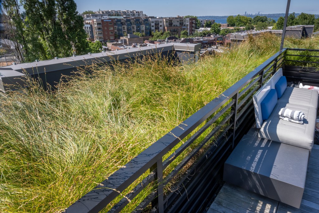 312 Central Kirkland, 2021 JH Landscaping & Irrigation, LLC