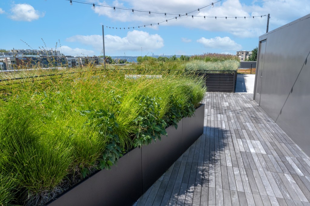 312 Central Kirkland, 2021 JH Landscaping & Irrigation, LLC